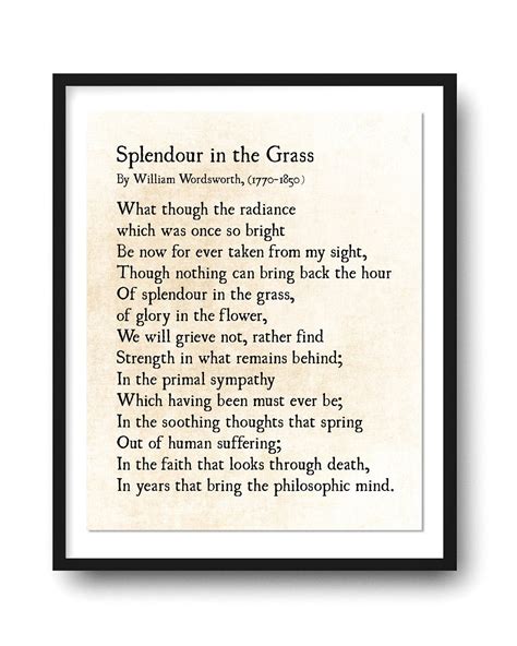 who wrote splendor in the grass poem